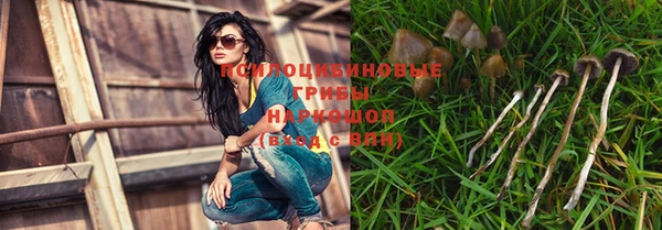 сатива Зеленодольск
