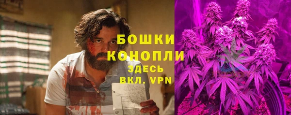 сатива Зеленодольск