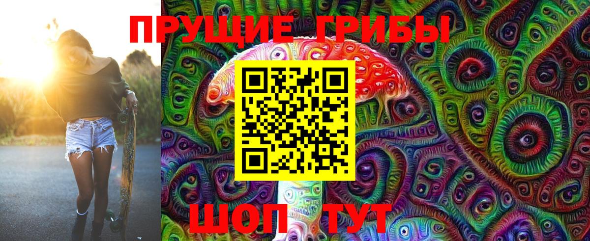 Искитим  Галлюциногенные грибы GOLDEN TEACHER  Псилоцибиновые грибы Cubensis  Вход с VPN 