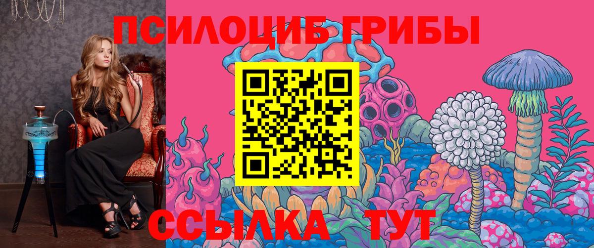 Галлюциногенные грибы Cubensis Искитим