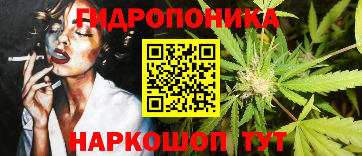 Шишки марихуана планчик  Вход с VPN  Шишки марихуана план  Искитим  Бошки марихуана OG Kush 